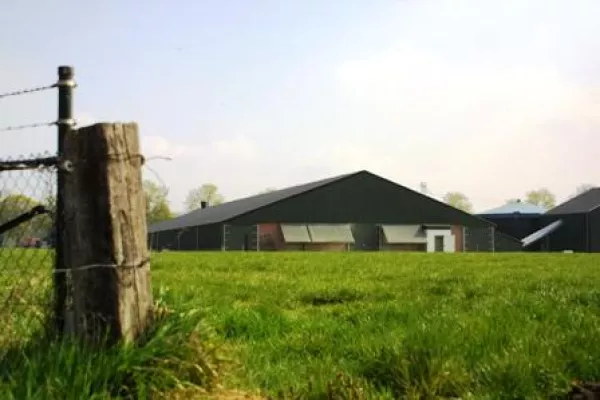 Bild: aktion tier deckt Eierbetrug im deutschen Supermarkt auf