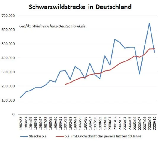 Bild: Mehr Jagd, mehr Wildschweine