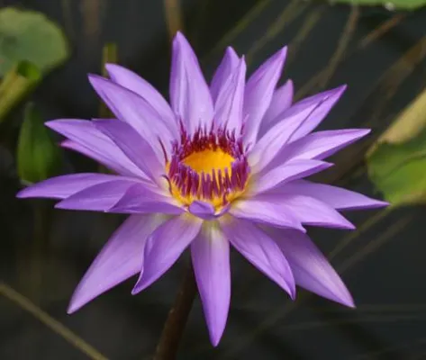 Die Welt des Kleinen im Botanischen Garten Bonn - Fotoworkshop Bild: Die Welt des Kleinen im Botanischen Garten Bonn - Fotoworkshop