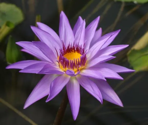 Die Welt des Kleinen im Botanischen Garten Bonn - Fotoworkshop Bild: Die Welt des Kleinen im Botanischen Garten Bonn - Fotoworkshop