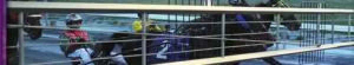 Top Trabrennen in Dover Downs auf magnabet.de