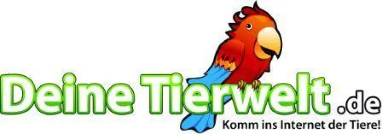 Bild: Weltpremiere für Innovationen im Community-Marketing