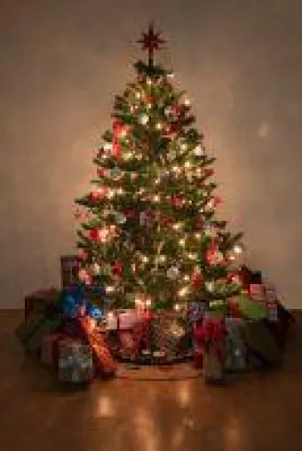 Bild: Weihnachtsbaumbeleuchtung - 45 Prozent der Deutschen setzen auf LED-Lichterketten