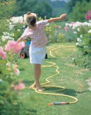 Bild: Rechte und Pflichten im Garten