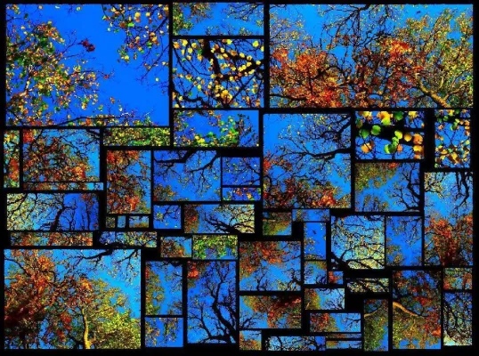 „GOLDENER HERBST“ – Internationaler Künstler Christophe Didillon präsentiert aktuelles Kunstwerk Bild: „GOLDENER HERBST“ – Internationaler Künstler Christophe Didillon präsentiert aktuelles Kunstwerk