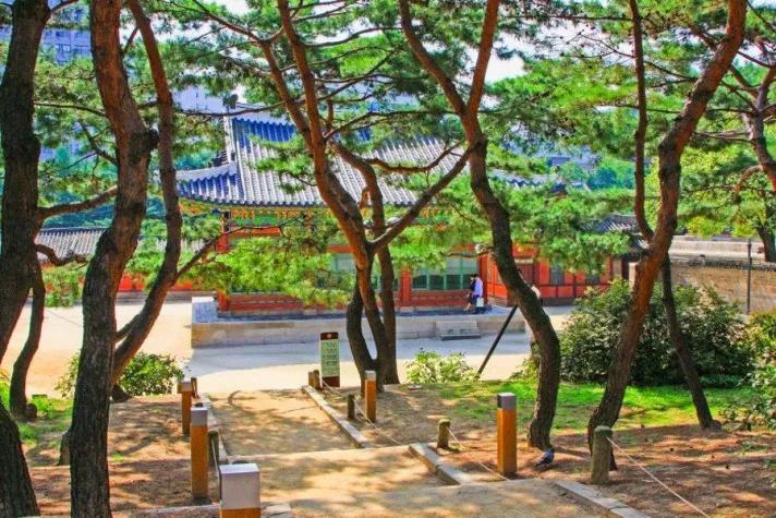 Bild: Das Reise-Trend-Ziel Südkorea mit Gebeco erleben