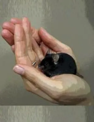 Bild: SICHERHEIT KANN GELERNT WERDEN - UND DAS HILFT GEGEN DEPRESSIONEN