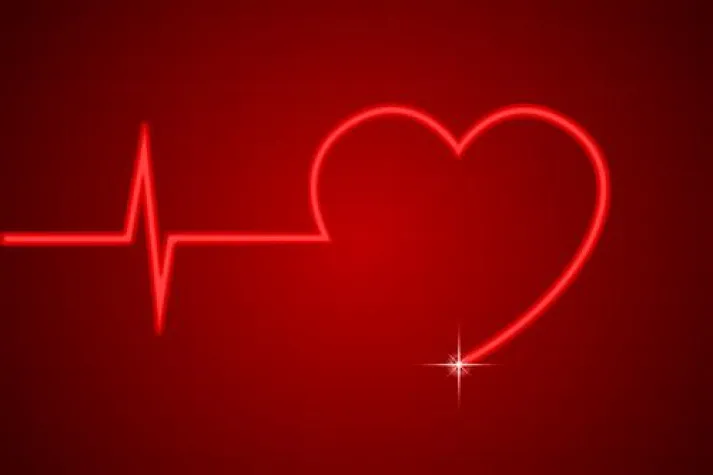 Bild: Blei schädigt auch Herz und Kreislauf