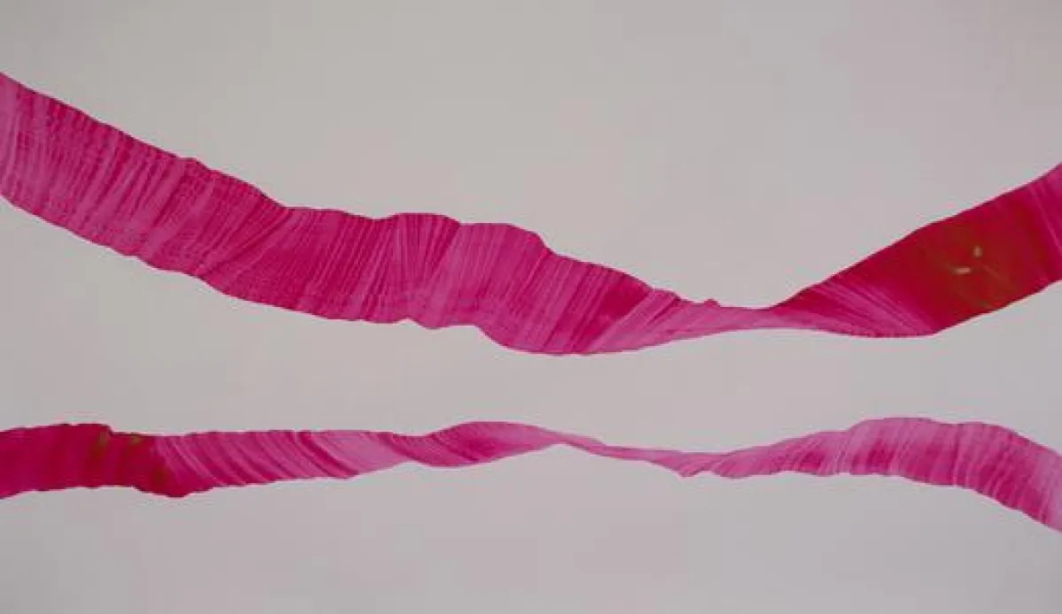 (c) Elisabeth Leyde - Werk Nr. 522
