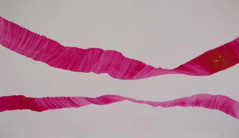 BILDER DENKEN Bild: BILDER DENKEN