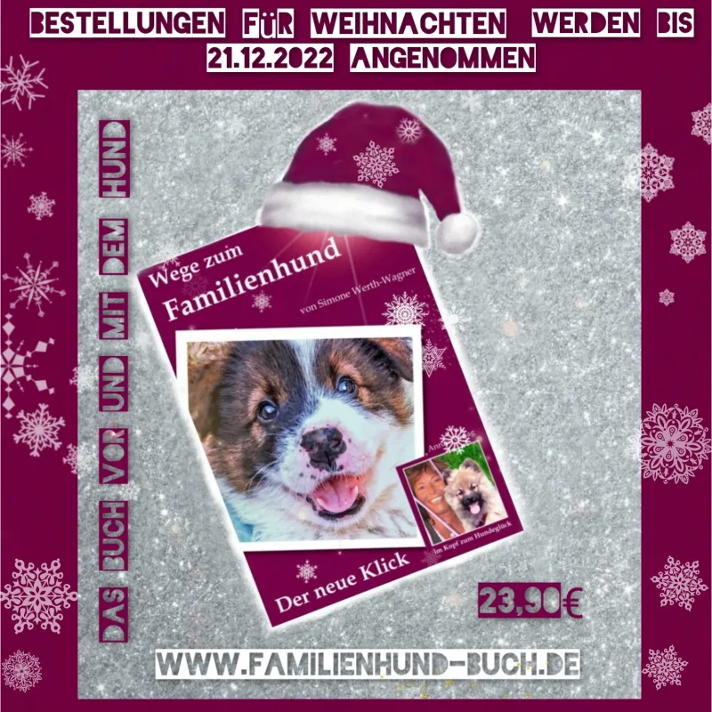 Buch Welpe Weihnachten 2022  (© Simone Wagner )