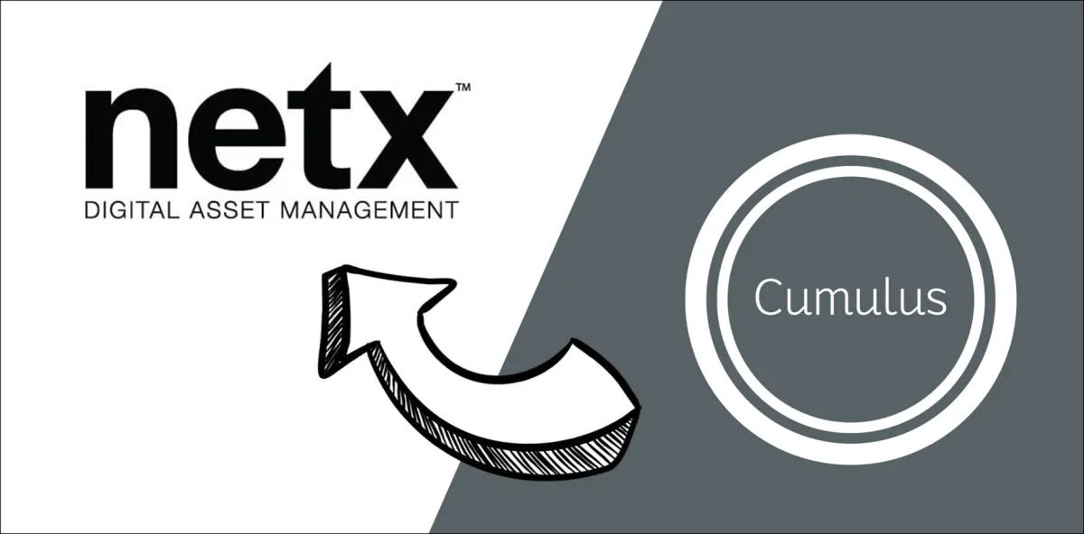 NetX – die beste Alternative zu Canto Cumulus (© royalmedia GmbH & Co. KG)