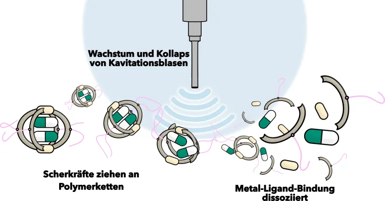 Bild: Veröffentlichung in Nature Communications: Molekulare Nanostrukturen lassen sich durch Ultraschall aktivieren