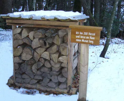 Bild: Grüne Woche Berlin 2011: Holz ist die Erneuerbare Energie aus dem Wald