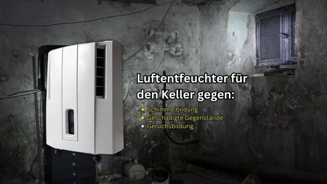 Bild: Effektive Lösungen gegen hohe Luftfeuchtigkeit im Keller – Gesundes Wohnen beginnt unten