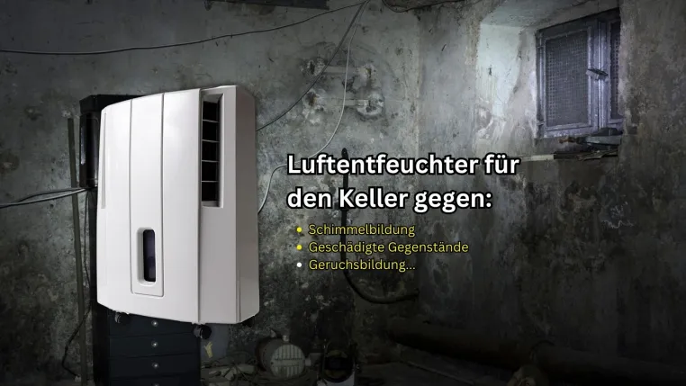 Bild: Effektive Lösungen gegen hohe Luftfeuchtigkeit im Keller – Gesundes Wohnen beginnt unten