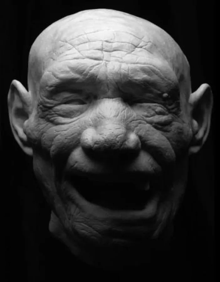 Homo neanderthalensis (c) Senckenberg