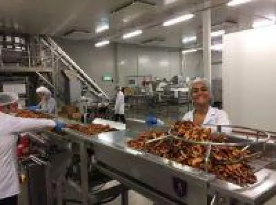 Bild: Hummer - Kakerlaken des Meeres