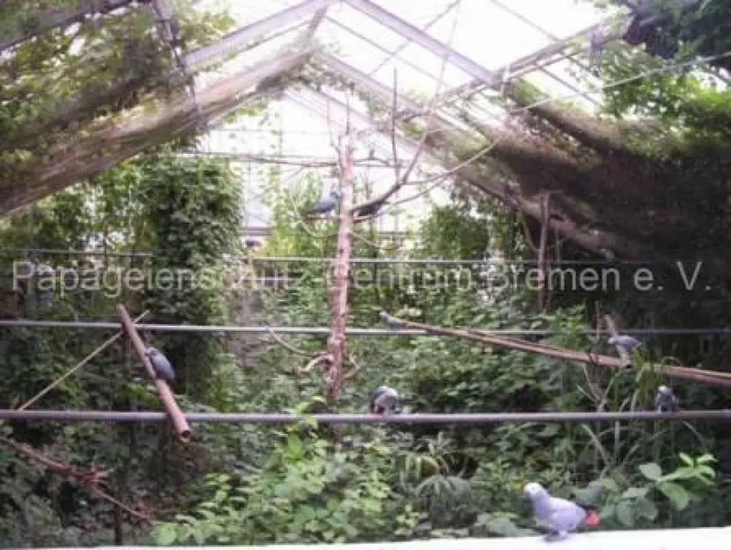Blick in eine Flughalle des Fluggeheges für geschädigte Papageien