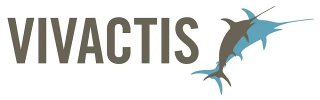 Bild: Strategy meets Creativity