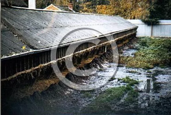 Bild: NOAH e.V. rückt Peek & Cloppenburg (P&C) auf den Pelz - Kampagne und Aktionen gegen den Verkauf von Pelzen