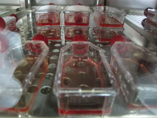 Zellfabrik Hamsterzellen Bild: Zellfabrik Hamsterzellen