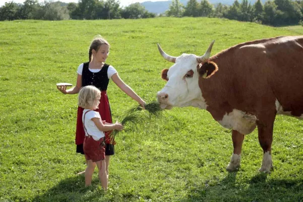Jeder zweite Bio-Käufer genießt ein Stück Bayern Bild: Jeder zweite Bio-Käufer genießt ein Stück Bayern