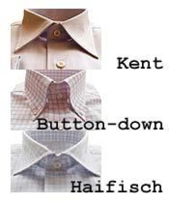 Die drei gängigsten Kragenformen - bei www.designermode.com