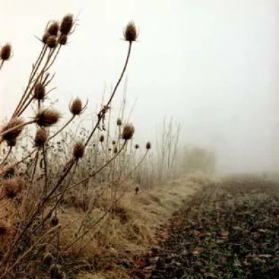 Bild: Herbstlicht – Landschaftsfotografie in Frankfurt und Umgebung 22.-23.11.2008
