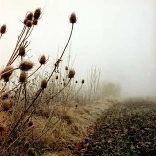 Bild: Herbstlicht – Landschaftsfotografie in Frankfurt und Umgebung 22.-23.11.2008