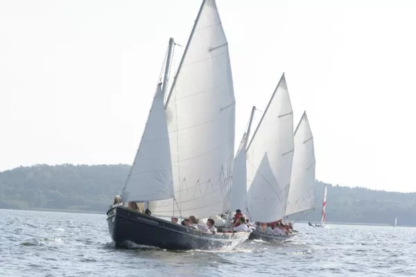 Teamgeist segelt zu neuen Erfolgszahlen Bild: Teamgeist segelt zu neuen Erfolgszahlen