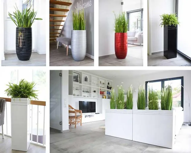 Bild: Super elegantes Design: Neue exklusive Pflanzkübel und Raumteiler von VIVANNO