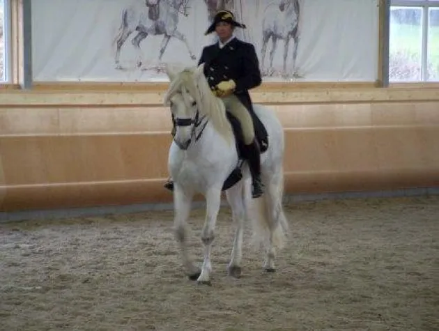 Voreröffnung des Barockreitzentrums Heimsheim Bild: Voreröffnung des Barockreitzentrums Heimsheim