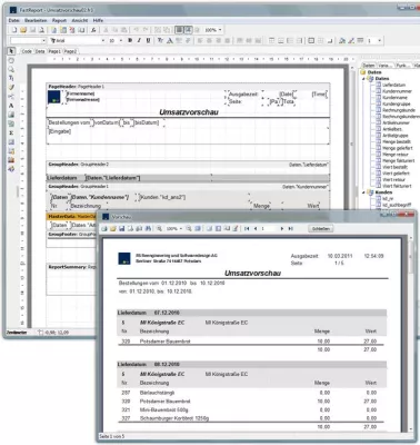 Bild: RS Software mit FastReport Integration