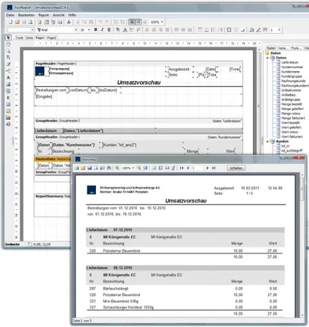 Bild: RS Software mit FastReport Integration