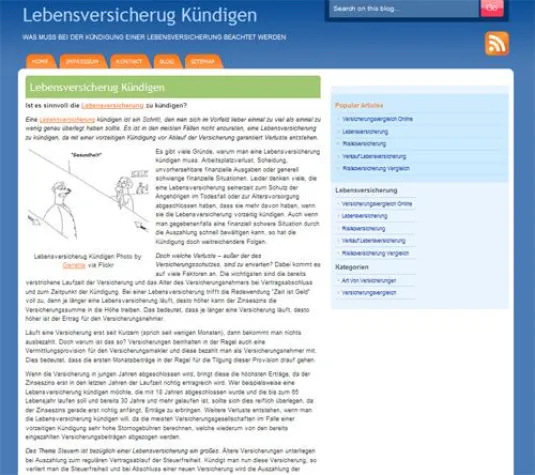 Bild: Vorteile und Nachteile der vorzeitigen Kündigung von Lebensversicherung