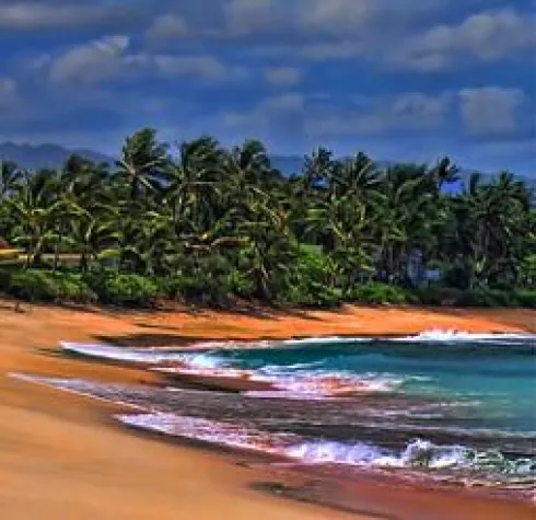 Bild: Hawaii Urlaub auf den Spuren von Barack Obama