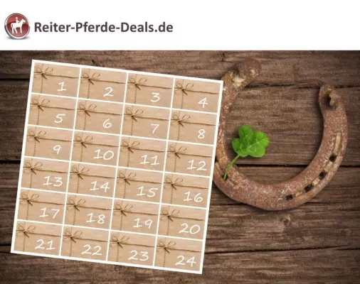 Großes Adventskalender-Gewinnspiel für Reiter und Pferdefreunde Bild: Großes Adventskalender-Gewinnspiel für Reiter und Pferdefreunde