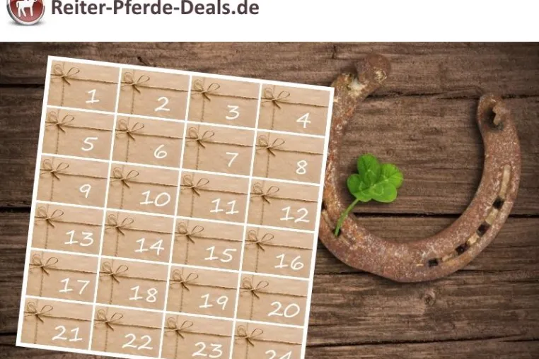 Bild: Großes Adventskalender-Gewinnspiel für Reiter und Pferdefreunde