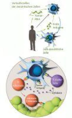 Bild: Biologische Krebstherapie - eine echte Alternative?