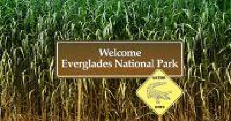 Der Everglades National Park Florida Bild: Der Everglades National Park Florida