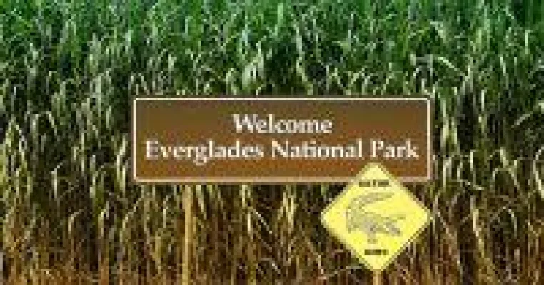 Bild: Der Everglades National Park Florida
