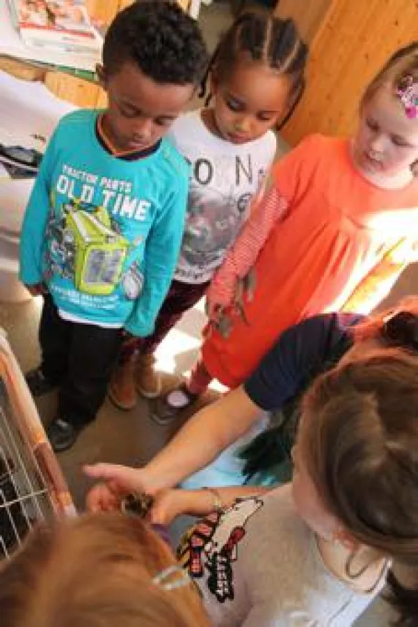 Die Kita-Kinder bestaunen die frisch geschlüpften Küken in der Monikahausschule.