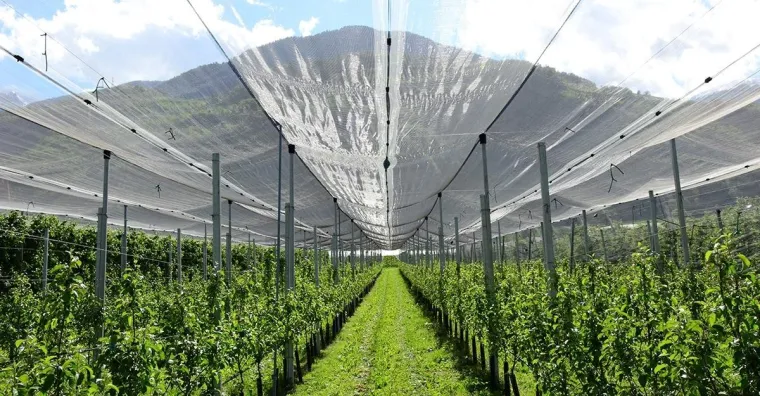 Bild: Kompostierbare Agrartextilien mit einstellbarer Nutzungsdauer