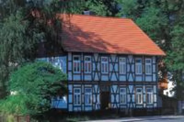 Bild: Beim Hauskauf aufs Dach achten