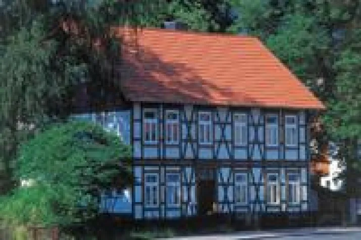 Bild: Beim Hauskauf aufs Dach achten