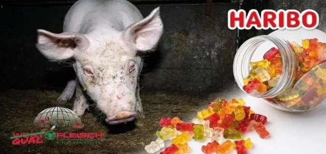 Bild: Shitstorm gegen Haribo: Der Süßwarenkonzern bezieht Gelatine von Westfleisch 