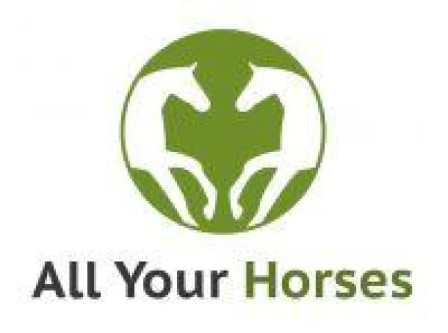 Bild: Vom Andalusier bis zum Zweibrücker - Startup startet Online-Pferdeportal