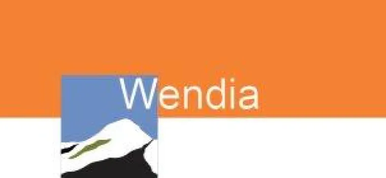 Bild: Service Management Software Hersteller Wendia AG Schweiz zieht positive Jahresbilanz