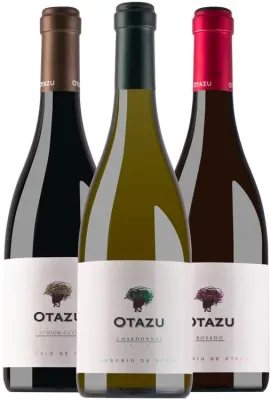 Bild: Feinste Navarra-Weine von Señorío de Otazu ab sofort bei BELViNi.DE Weinversand